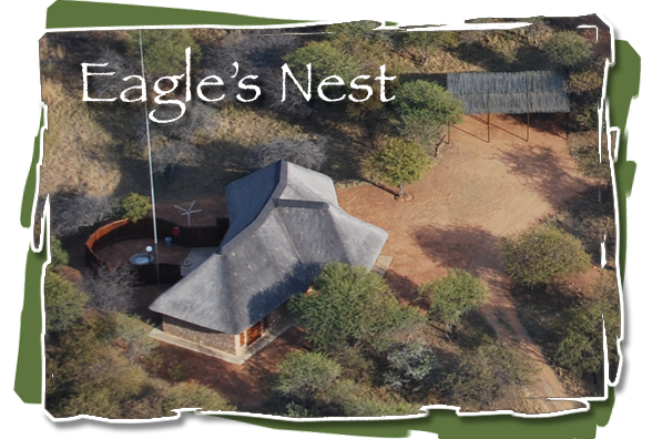 Eagles Nest